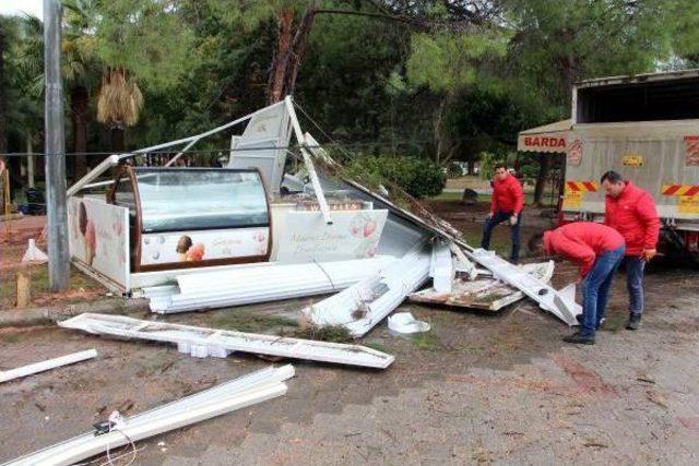 Fethiye'de Lodosun Devirdiği Ağaçlar, Iş Yeri Ve Araçlara Zarar Verdi