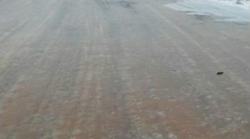 Ayvalık&rsquo;ta Hummalı Kar Temizliği Yeniden Başladı