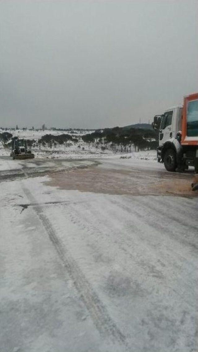 Ayvalık’ta Hummalı Kar Temizliği Yeniden Başladı