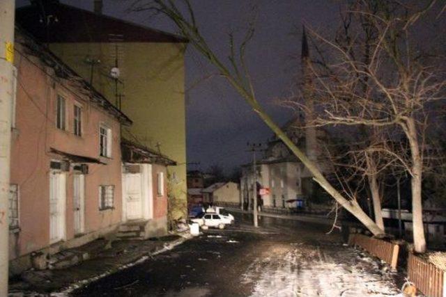 Bolu'da Lodos Çatıları Uçurdu, Ağaçları Devirdi