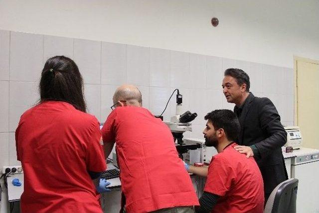 T&uuml;rkiye&rsquo;nin İlk Ke&ccedil;i Sperm Bankası Kuruldu 2