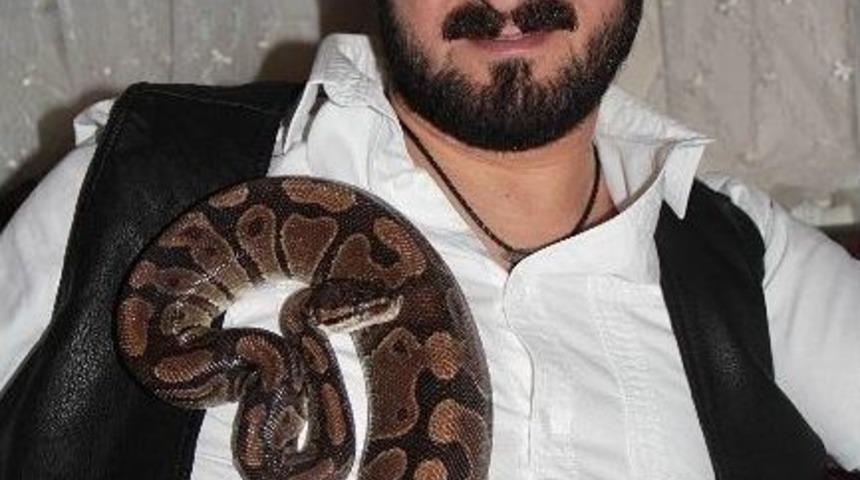 Yılan Korkusunu Yenmek İ&ccedil;in Evinde Yılan Besliyor