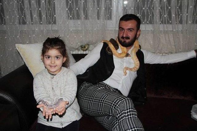 Yılan Korkusunu Yenmek İ&ccedil;in Evinde Yılan Besliyor 2