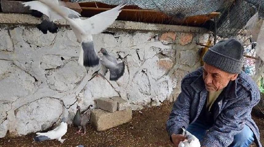 Evsizlere İzmir B&uuml;y&uuml;kşehir Belediyesi Sahip &Ccedil;ıkıyor