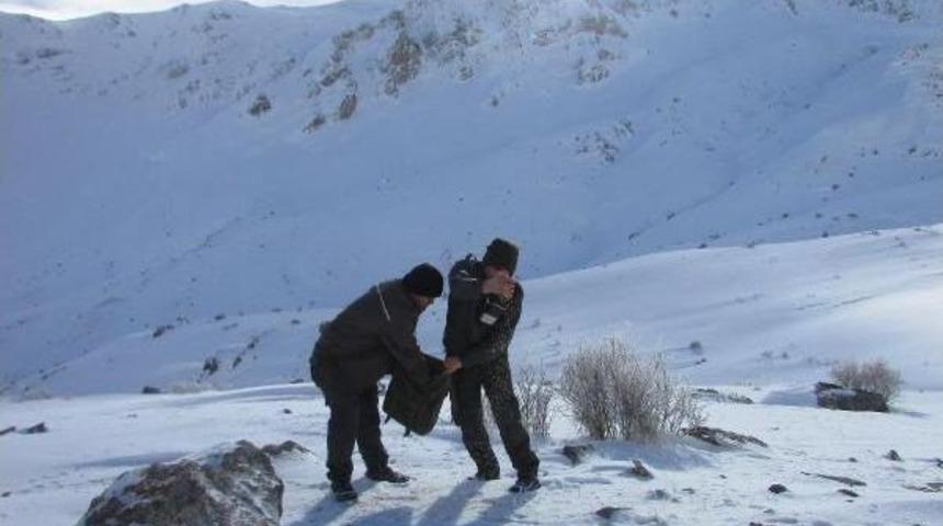 Demirkazık'ta A&ccedil; Kalan Yaban Hayvanlarına Yem Atıldı