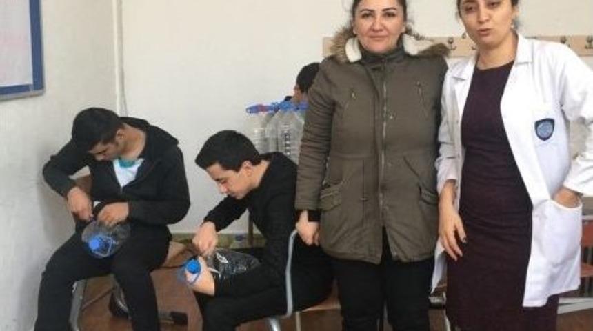 Kartallı &Ccedil;ocuklar Sokak Hayvanları İ&ccedil;in İş Başında