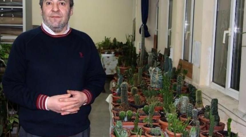 &Ouml;ğretim &Uuml;yesinin 'kakt&uuml;s' Merakı