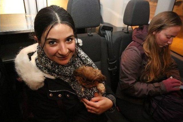 Ataşehir Belediyesi Karda Kalanları Evlerine &Uuml;cretsiz Ulaştırıyor 2
