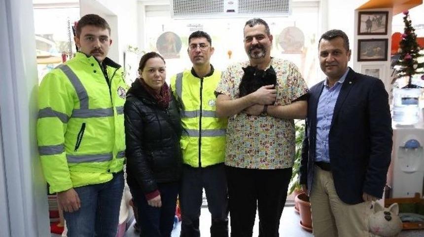 Şanslı Kediler Yuva Arıyor