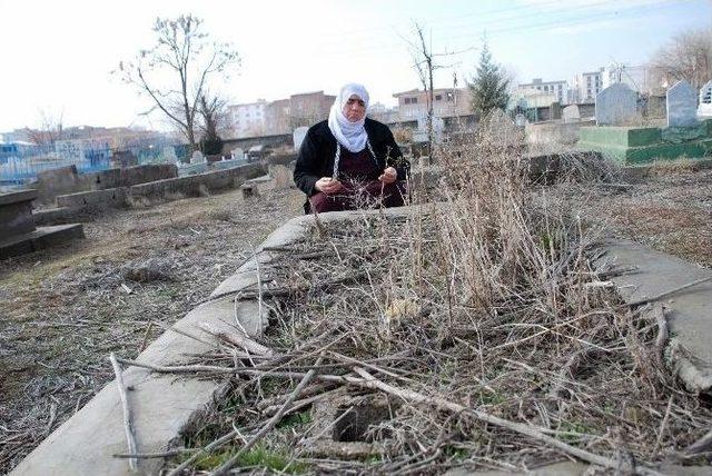 Diyarbakırlı Çiçek Poyraz’ın Filmleri Aratmayan Hikayesi