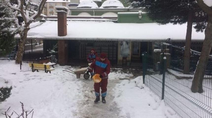 Gebze&rsquo;de Avlu Ve Bah&ccedil;eler Kardan Temizlendi