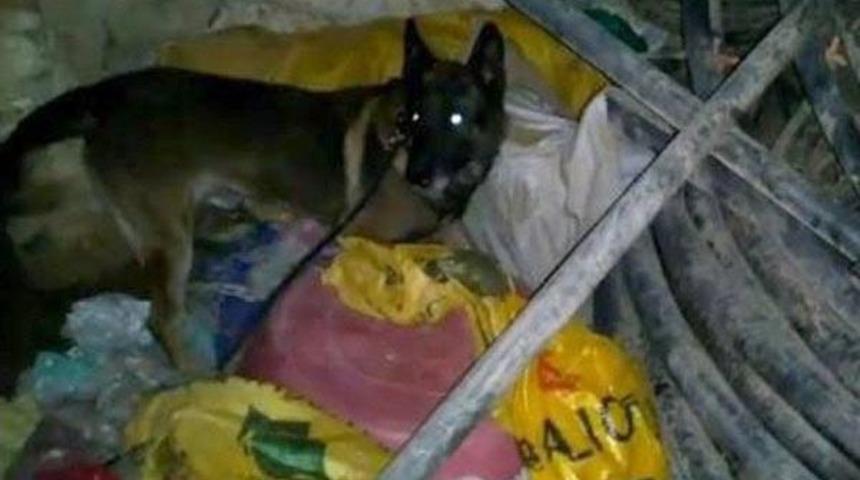 Denizli'de Uyuşturucu Operasyonu: 4 Tutuklama