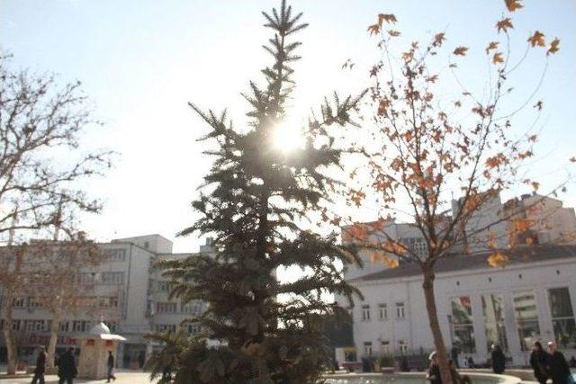 Batıda Kış, Elazığ’da Yaz Havası