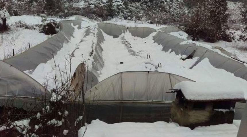 Sütçüler’de Seraları Kar Vurdu