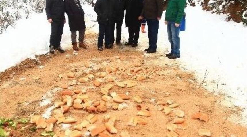 &Ouml;nce İş Makinesiyle Karları K&uuml;rediler, Sonra Ormana Yiyecek Bıraktılar