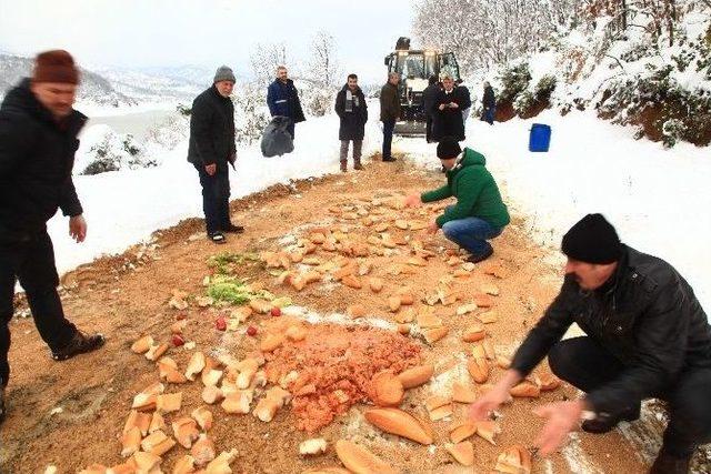 Önce İş Makinesiyle Karları Kürediler, Sonra Ormana Yiyecek Bıraktılar