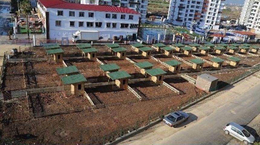 Tece&rsquo;deki Hobi Bah&ccedil;esi&rsquo;nin Kura &Ccedil;ekimi Yapıldı