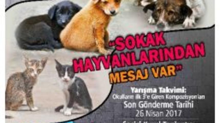 &Ccedil;ocuklar Sokak Hayvanları İ&ccedil;in Yarışacak
