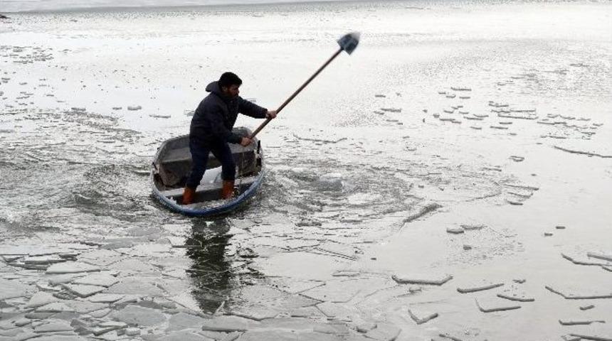 Gölbaşı Belediyesinden Kuşlara Yaşam Alanı