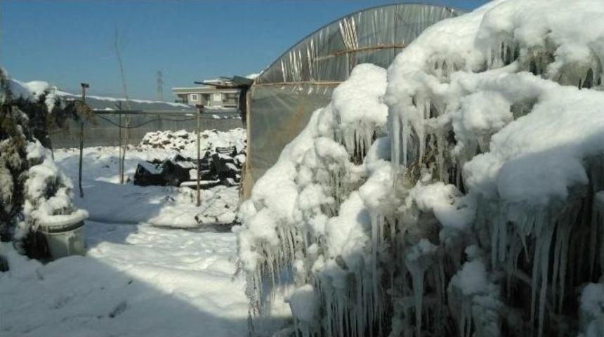 &Ccedil;i&ccedil;eklerin &Uuml;zerine &Ccedil;&ouml;ken Seralar B&uuml;y&uuml;k Hasar Oluşturdu