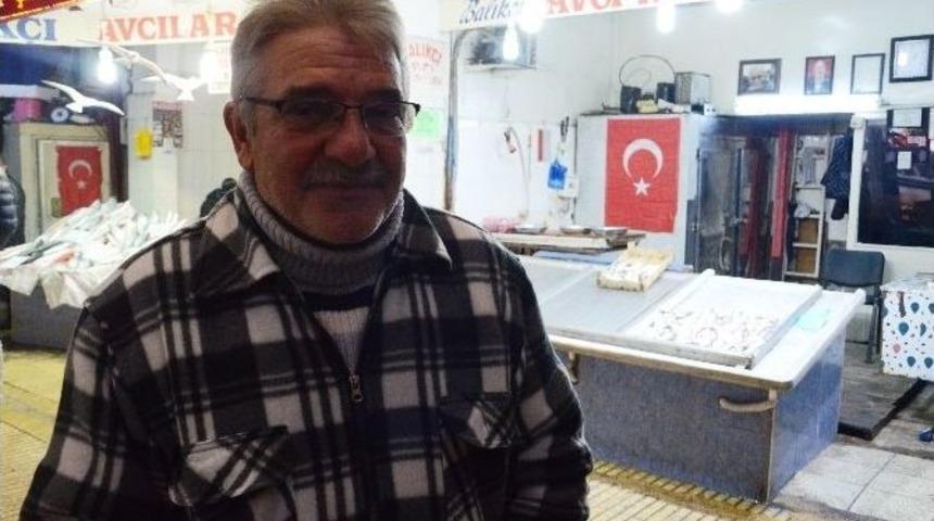 Hamsi Rekora Koşuyor