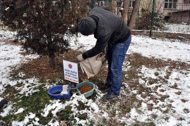 Karabük Belediyesi Sokak Hayvanlarını Unutmadı