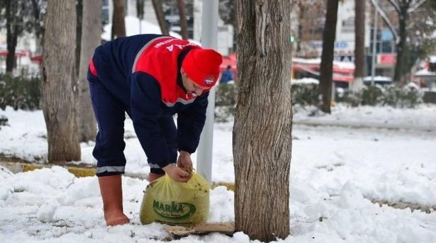 Erbaa Belediyesi Sokak Hayvanları İ&ccedil;in Yiyecek Bıraktı