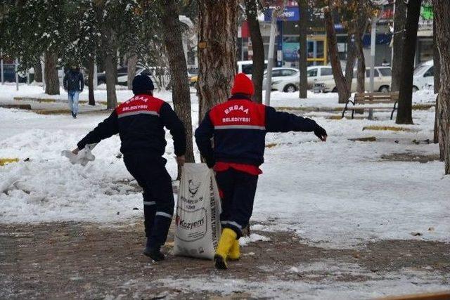 Erbaa Belediyesi Sokak Hayvanları İ&ccedil;in Yiyecek Bıraktı 1