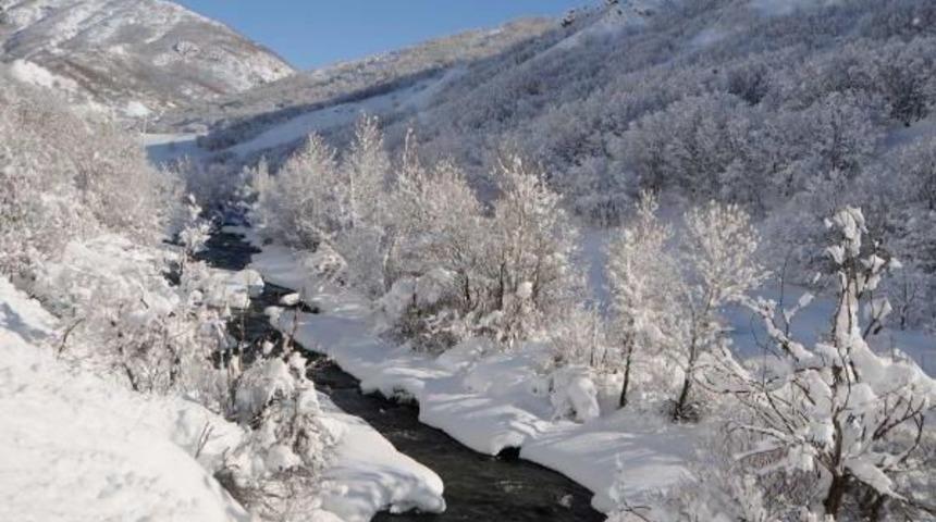 Tunceli'de Kar Yağışı Nedeniyle 250 K&ouml;y Yolu Ulaşıma Kapandı
