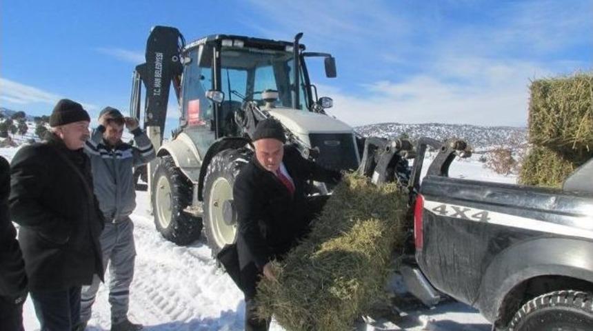 Han Belediyesi Yaban Hayvanları Unutmadı