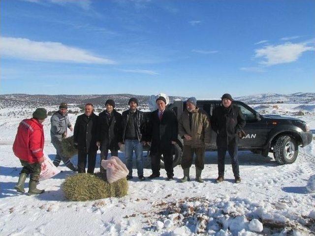 Han Belediyesi Yaban Hayvanları Unutmadı 2