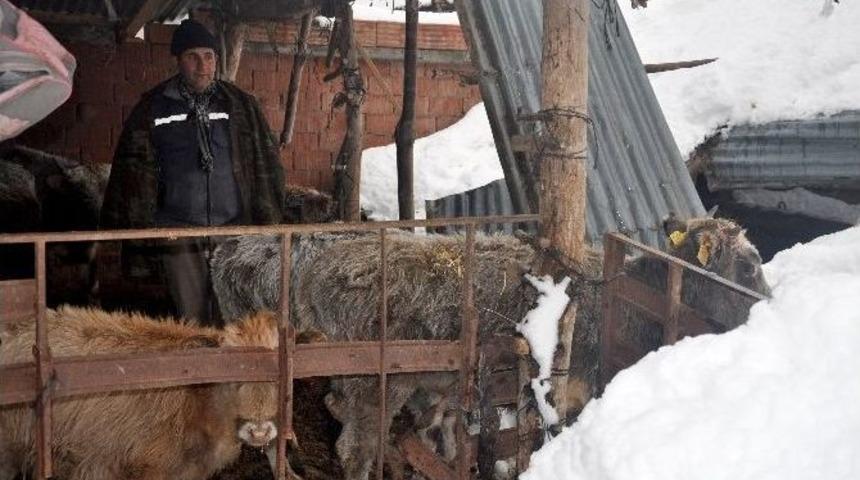 Kar K&uuml;tlesine Dayanamayan Dam &Ccedil;&ouml;kt&uuml;