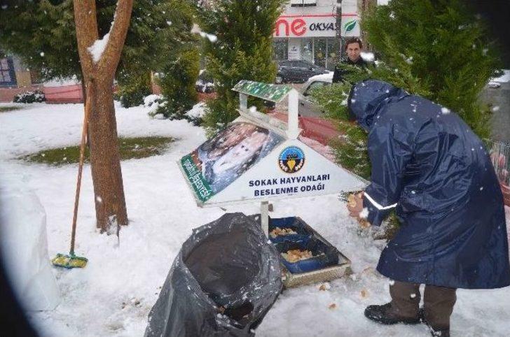 Turgutlu Belediyesi Can Dostlarını Unutmadı G3