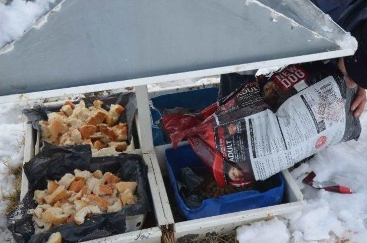 Turgutlu Belediyesi Can Dostlarını Unutmadı G4