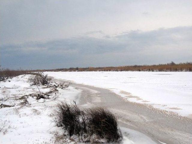 Meriç Nehri Dondu