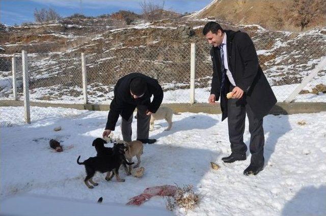 Bayat Belediyesi&rsquo;nden Doğaya Yem 2