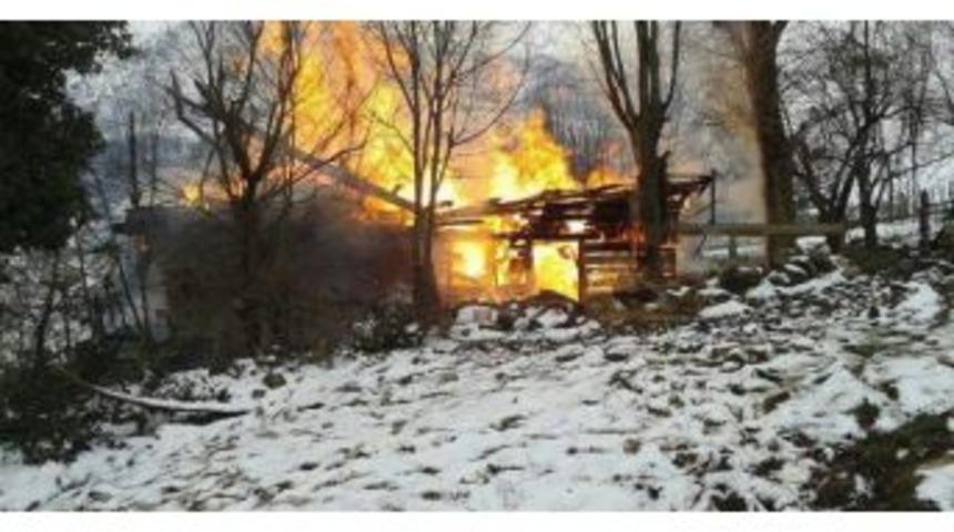 Kastamonu&rsquo;da Ev Ve Ambar Yandı, 8 Hayvan Telef Oldu