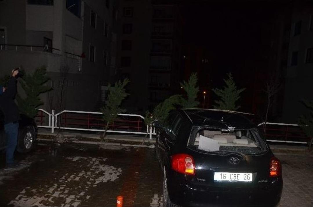 Bursa&rsquo;da Şiddetli Lodos Ağa&ccedil;ları S&ouml;kt&uuml;, &Ccedil;atıları U&ccedil;urdu