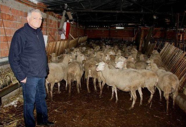 Bursa&rsquo;da Son İki Yılda Doğal Afetlerde 200 Ağıl &Ccedil;&ouml;kt&uuml; 2