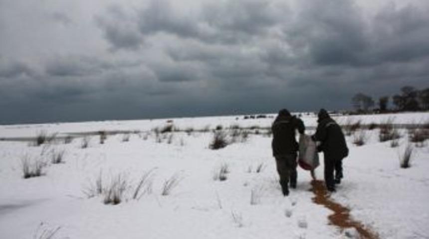 Yaban Hayvanlarına Yem Bırakıldı