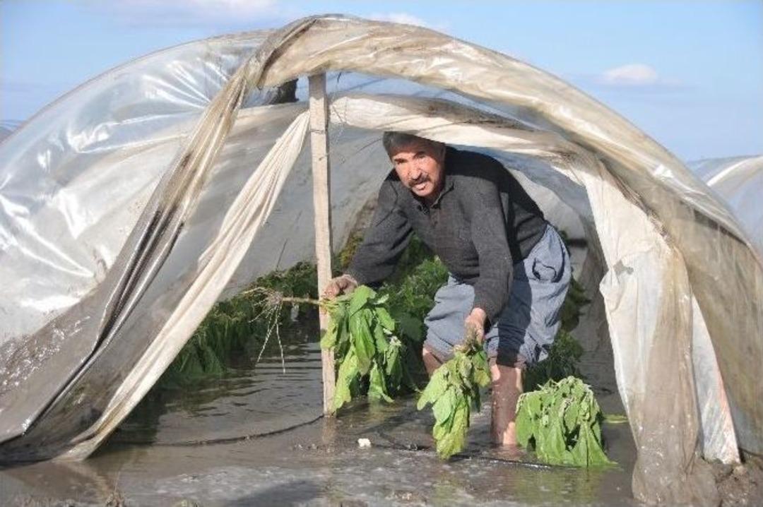 Selin Vurduğu &Ccedil;ift&ccedil;iler Yardım Bekliyor