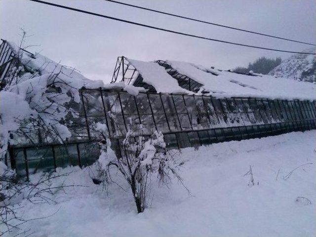 Seralar Kara Dayanamadı