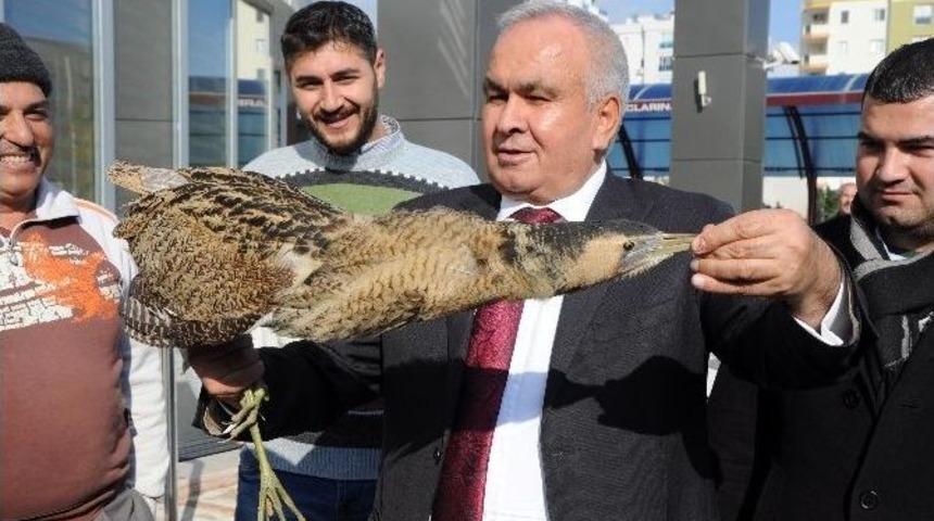 Soğuğa Dayanamayan G&ouml;&ccedil;men Kuşa Şefkat Eli