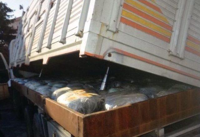 10 Günde 455 Operasyon 2