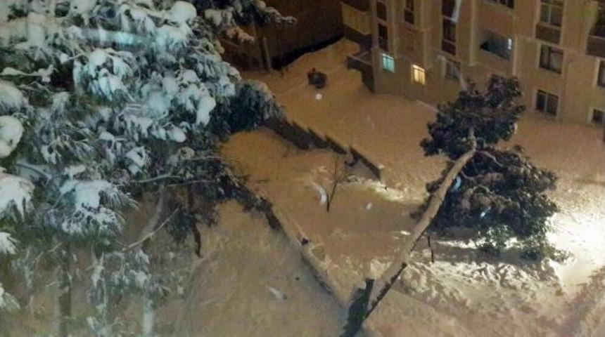 Yarım Asırlık &Ccedil;am Ağacı Kar Yağışına Dayanamadı