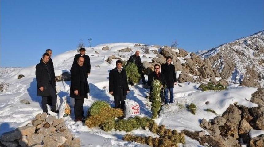 Yaban Hayvanları İ&ccedil;in Doğaya Yem Bıraktılar