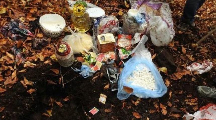 Karadeniz Yaylalarında Pkk'lıların Erzak Depoları Imha Edildi