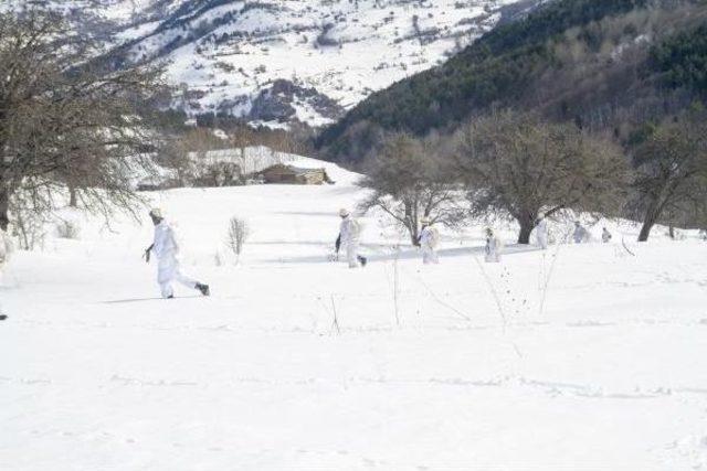 Karadeniz Yaylalarında Pkk lıların Erzak Depoları Imha Edildi 3