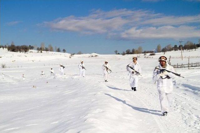 Ordu’da Teröristlere Ait 10 Sığınak Ve Depo İmha Edildi