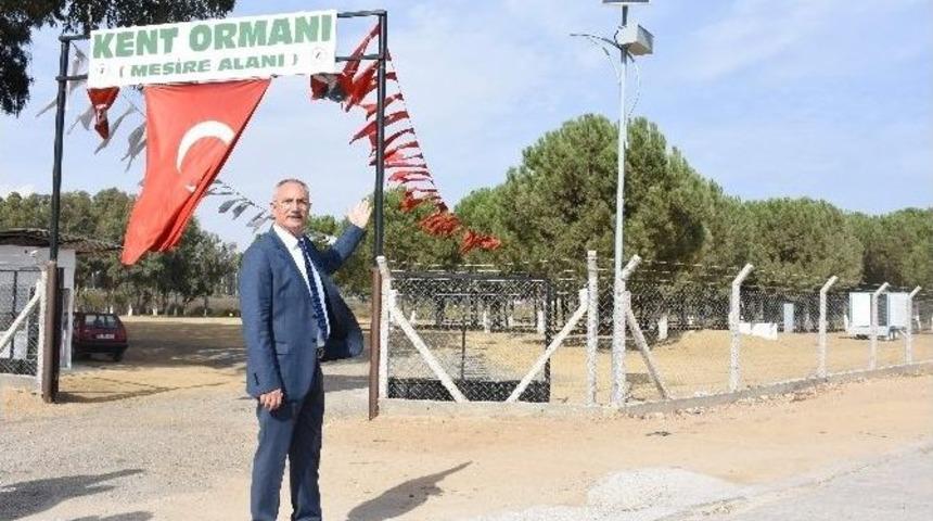 Mangal İncirliova’da İkinci Etap Çalışmalar Başlatıldı